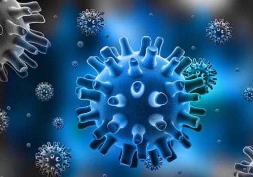 Virus herpes là gì? Làm sao để có thể phát hiện bệnh   