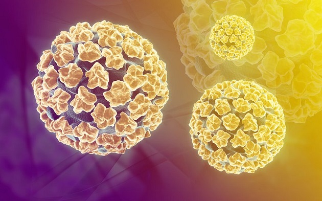chi phí điều trị sùi mào gà - virus HPV