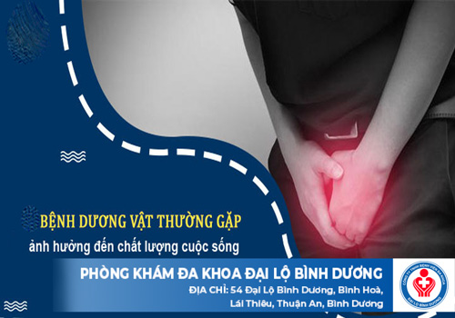 các bệnh về dương vật thường vật