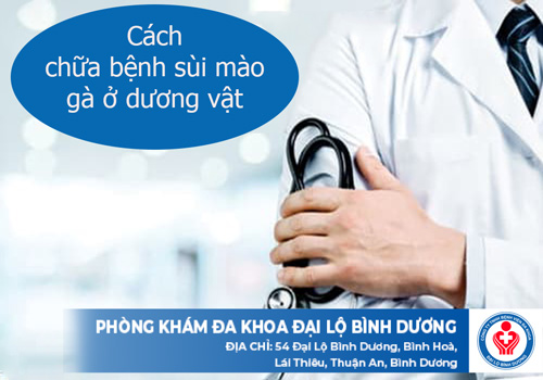 Cách chữa bệnh sùi mào gà ở dương vật