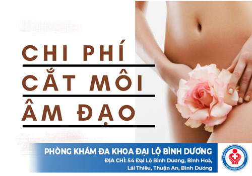 chi phí cắt môi âm đạo ở Bình Dương