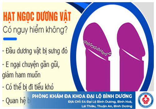 chuoi hat ngoc duong vat 2