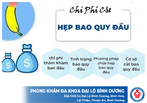 chi phi cat hep quy dau DN 2