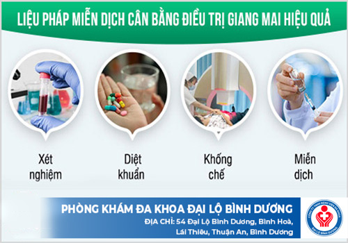 giang mai hong 1