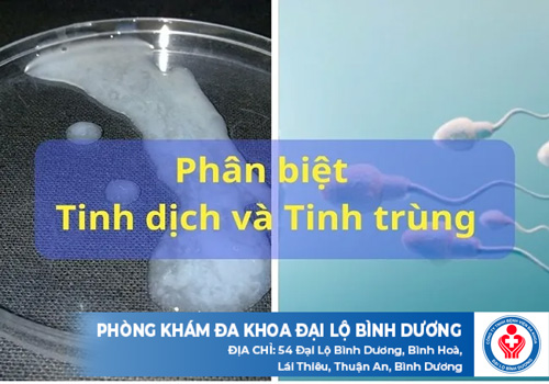 tinh dich khong co tinh trung 2