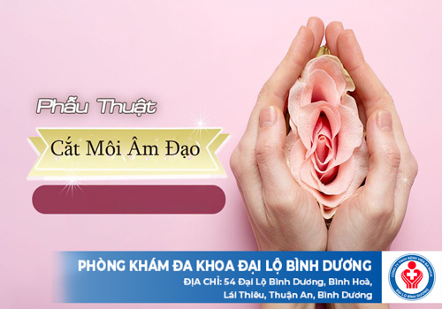 top phong kham cat moi am dao o ben cat20609 1 1