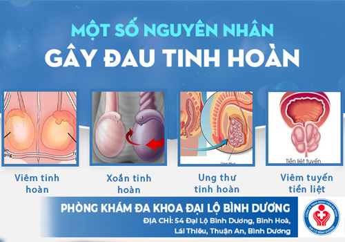 nguyen nhan gay nen hien tuong dau tinh hoan nguyen nhan gay nen hien tuong dau tinh hoan