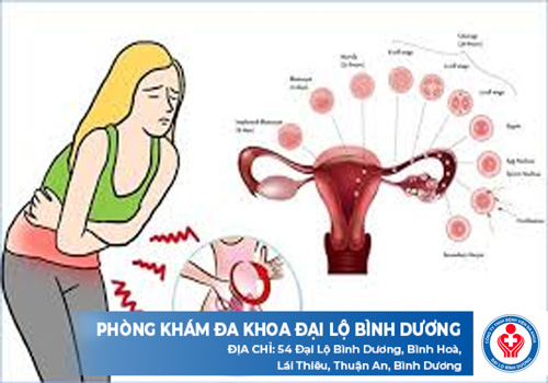 top phong kham thong kinh o binh phuoc20672 1